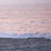 surfergirlocnj